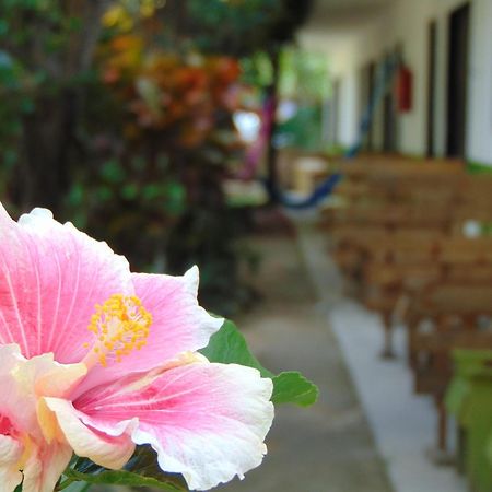 Crucero Tulum Bed & Breakfast エクステリア 写真