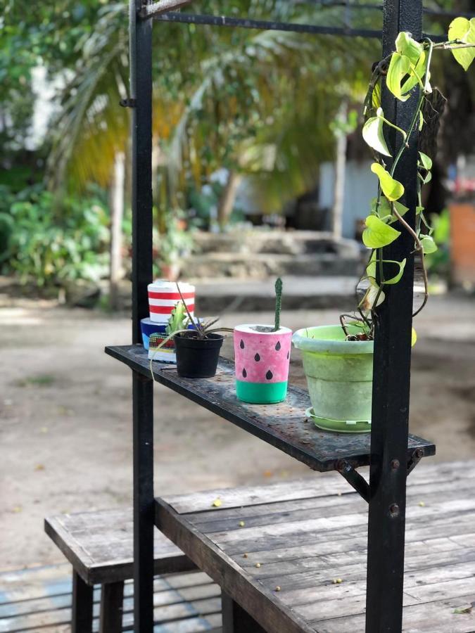 Crucero Tulum Bed & Breakfast エクステリア 写真