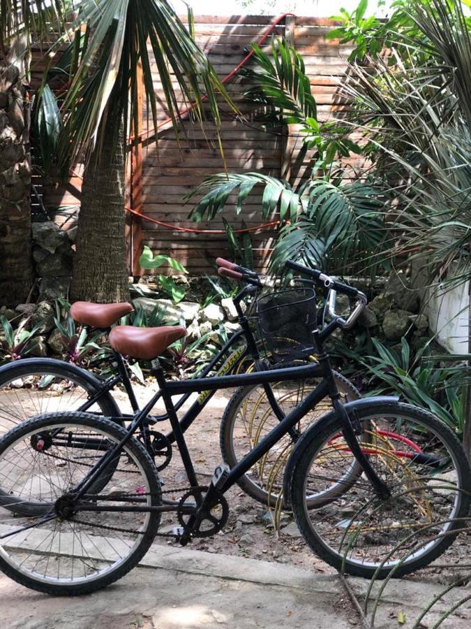 Crucero Tulum Bed & Breakfast エクステリア 写真